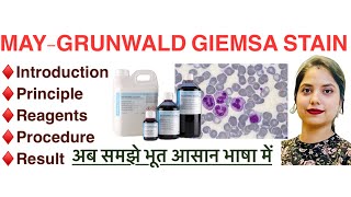 MayGrunwald giemsa stain Mgg in Hindi  Principle  Procedure  Reagents  MLT [upl. by Gnilrits]