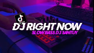 DJ Right Now slow remix  adem ditelinga Terbaru 2023  DJ SANTUY [upl. by Sire]