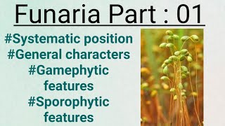 FunariaPart01General charactersGametophytic and sporophytic stage [upl. by Arvo]