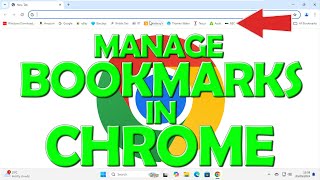 Manage Bookmarks in Chrome [upl. by Thin]