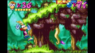 Rayman Advance 100 Part 6  Moskitos Nest Part 1 [upl. by Jacquelyn133]