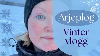 Vintervlogg från stugan i Arjeplog [upl. by Giglio]