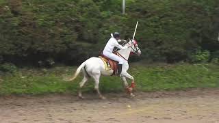 Lawrence School Lovedale Galloping Joy Equestrian Display [upl. by Nuhs]