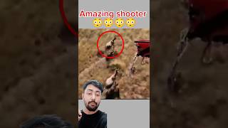 Amazing Shoter catching animals singapore shortsvideo animals [upl. by Aelak]