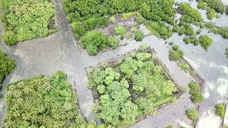 Drone Aerial video of the famous Nan Madol in the island garden of Pohnpei Ponape State FSM [upl. by Aelram]