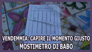 VENDEMMIA PERFETTA COME USARE IL MOSTIMETRO DI BABO PER CAPIRE IL MOMENTO GIUSTO DI RACCOLTA [upl. by Teiluj]