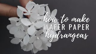 Wafer Paper Hydrangeas for cake decorating  Filler flower tutorial [upl. by Kcirdorb374]