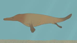 From Feet to Flippers The Evolution of Whales [upl. by Lentha421]