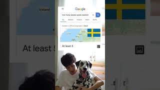 dog reacts to meme 782 [upl. by Onurb]