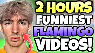 2 HOURS OF FUNNIEST FLAMINGO FANVIDEOS TO SLEEP TO [upl. by Ayifa]