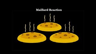 Maillard Reaction [upl. by Drue972]