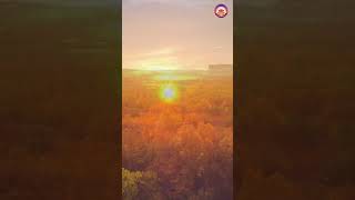 Calm Your Mind Healing Meditation Music for Relaxation [upl. by Bergerac]