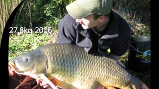 carpe commune sauvage géante dun bras de la saône 308kg le rêve [upl. by Yuht275]