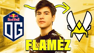 NEW VITALITY PLAYER flameZ — Best Highlights—CSGO [upl. by Nnaitsirhc]