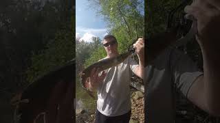 Potential PB pickerel [upl. by Anissej]