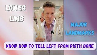 Appendicular Skeleton Lower Limb Bones Explained [upl. by Sauveur]