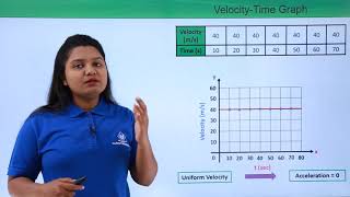 Class 9th – Velocity  Time Graph  Motion  Tutorials Point [upl. by Leumhs]