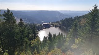 Wanderung auf die Hornisgrinde 13102023 [upl. by Enomis717]