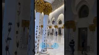 Inside view of Sheikh Zayed Mosque Abu Dhabi  Beautiful interior  travel sheikhzayed short [upl. by Oinotla]