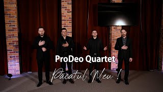 ProDeo Quartet  Pacatul Meu Official Music Video 4K [upl. by Batory]