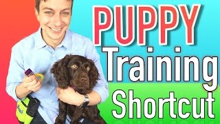 The Puppy Training Shortcut Clicker Training Explained [upl. by Esirec]