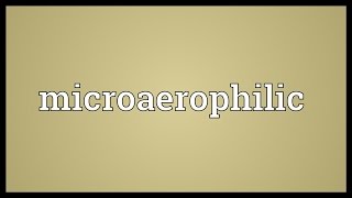 Microaerophilic Meaning [upl. by Annaes16]