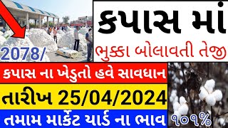 Kapas na bhav  25042024  કપાસના ભાવ2024  Information about Cotton Crop Price  Commodity Trend [upl. by Assisi]