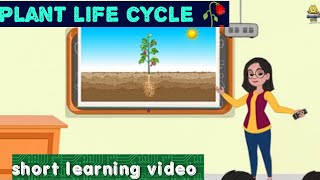 plant life cycle 🥀 learning video for kidsMarvelousvibes290 [upl. by Sue]