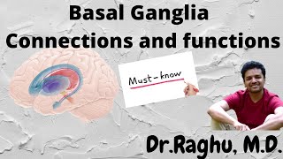 Basal Ganglia  Connections and Functions  Neurophysiology [upl. by Eirbua748]