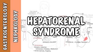 Hepatorenal Syndrome  causes pathophysiology and mechanism [upl. by Nolaf]