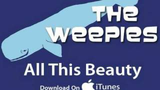 The Weepies  All This Beauty Audio [upl. by Hendrickson350]