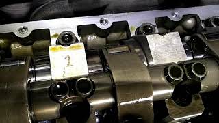 BRM TDI PD 8k mile Billet Camshaft Check After BreakIn [upl. by Annocahs]