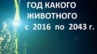 Год какого животного 2018 по гороскопу по годам по китайскому календарю сейчас [upl. by Stephi]