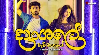 Dangaleදාංගලේ  Chamodya Nethmini  New Song  Sinhala Song  Music Video [upl. by Alag]