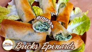 Bricks Epinards Fromage  Recette Facile et Rapide [upl. by Noicpecnoc]