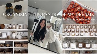 MY INSANE PANTRY TRANSFORMATION I cant believe how messy it was [upl. by Sudoeht890]