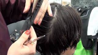 HAIRCUTTING Layer haircut with scissors [upl. by Wardlaw92]