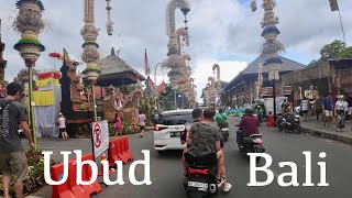 Time to Bicycle  Bali na koleCycling in IndonesiaJedu do města Ubudtravel vlog 21 [upl. by Penelopa]