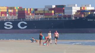 Tybee Island North Beach Ship Watching [upl. by Mailliw575]