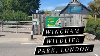 WINGHAM WILDLIFE PARK A ZOO YOU SHOULD VISIT IN LONDON [upl. by Mohandas233]