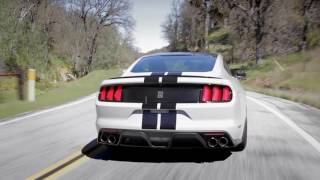 Shelby GT350 Sights amp Sounds  Beauty Exhaust Flyby  Everyday Driver [upl. by Juliana]