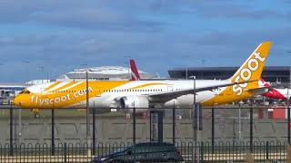 Scoot B7879  Takeoff Sydney Airport  9VOJB [upl. by Noryt]