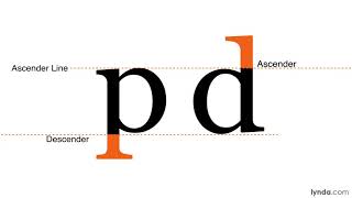 Typography Tutorial  Xheight ascenders descenders serifs and MORE [upl. by Nies]