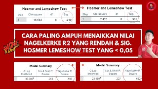 Cara paling ampuh menaikkan nilai Nagelkerke R Square dan Hosmer Lemeshow test data sekunder Part 1 [upl. by Taveda]