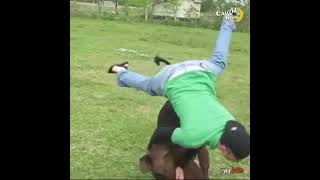 TOP MOMENTS HORSES vs MAN  KICKING PEOPLE ANGRY HORSES COMPILATION [upl. by Cordell]