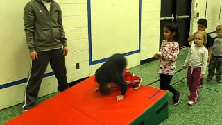 PE Somersault Lesson Kindergarten [upl. by Irep324]