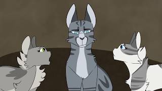 Jayfeather Is Blind [upl. by Euqinomod]