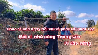 Mời Cả Nhà Cùng Trung Sởn  Đi Đào Măng ở Trung Quốc Cũng Giống Như đi Tìm Kho Báu 😁🇨🇳 [upl. by Durant]