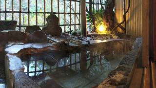 Ryokan w Private Onsen in Hakone [upl. by Ogilvy498]