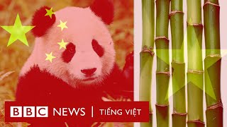 Biển Đông Việt Nam làm gì để đối phó Trung Quốc  BBC News Tiếng Việt [upl. by Nevart755]